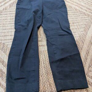 Everlane The Side-Zip Stretch Cotton Pant